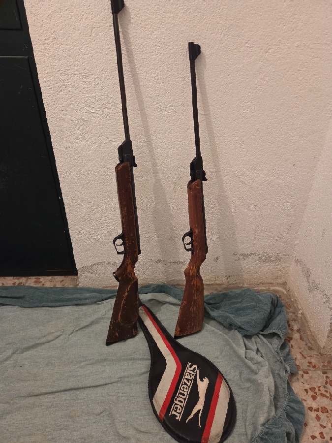 Dos escopetas de aire comprimido Gamo