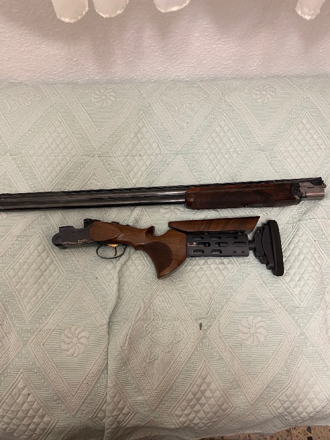 Escopeta Beretta DT10