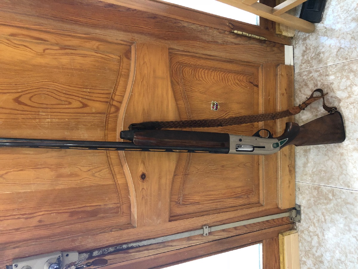 Beretta AL 391 TEKNYS GOLD 12/70