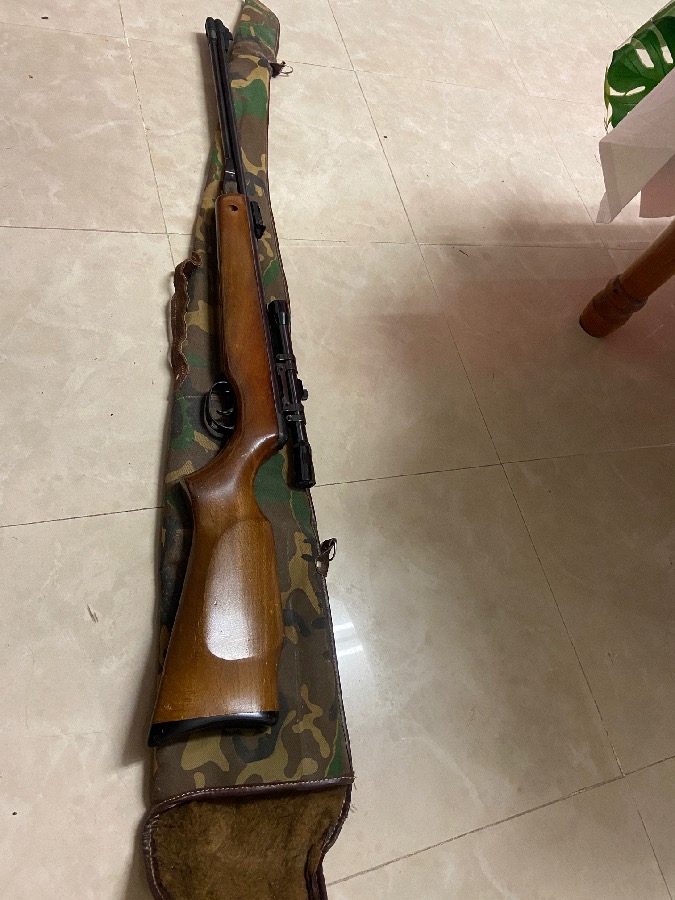 Escopeta de balines Gamo CF 20 con mira