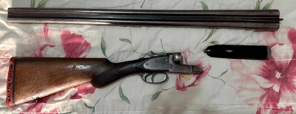 Paralela Bellota