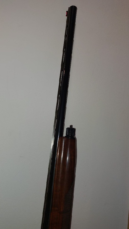 Benelli Crio