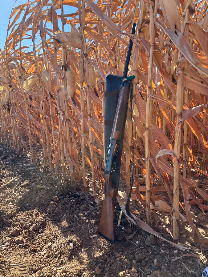 Escopeta Benelli Superligera