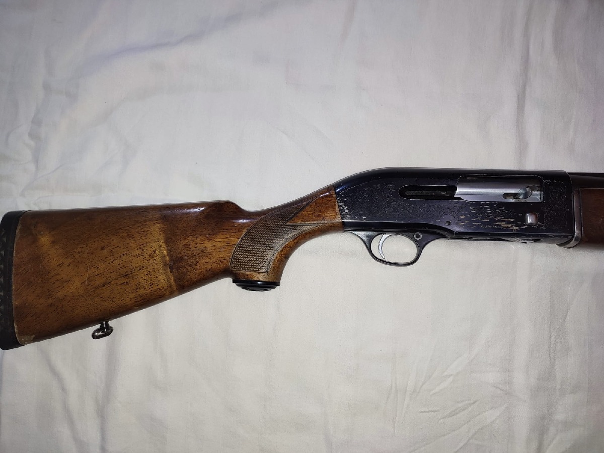 Beretta 301