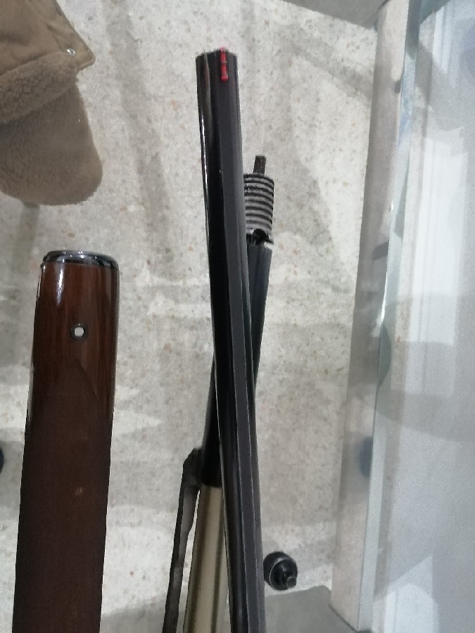 Beretta 302