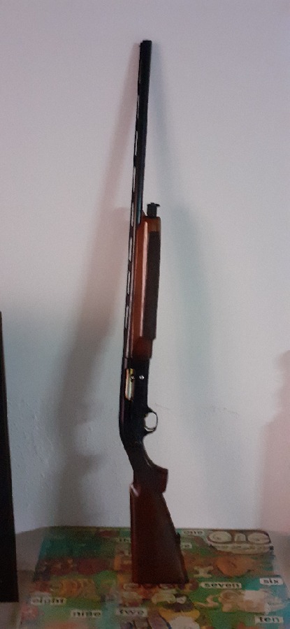 Beretta 303