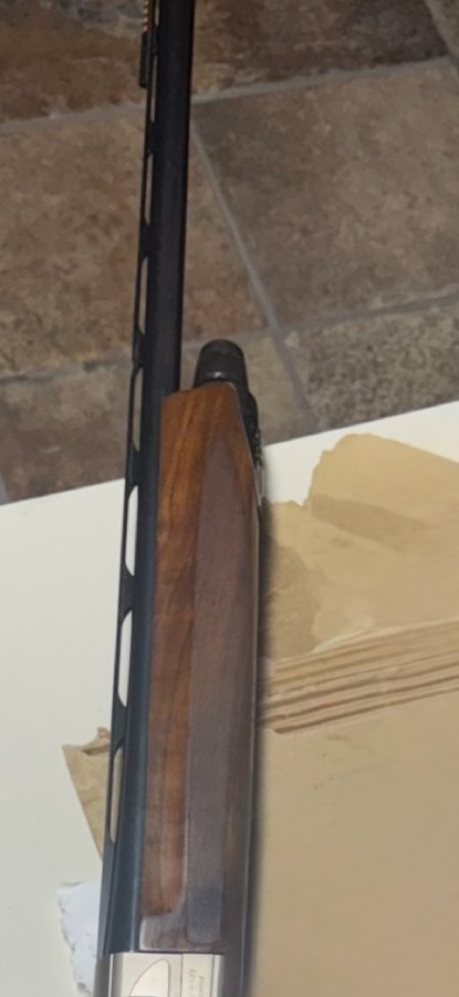 Escopeta Beretta Lágrima Verde