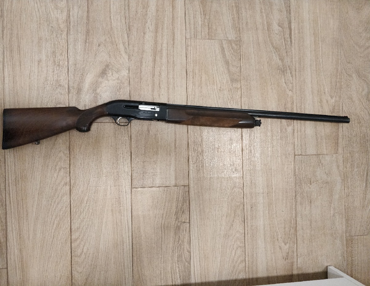 Beretta A301 