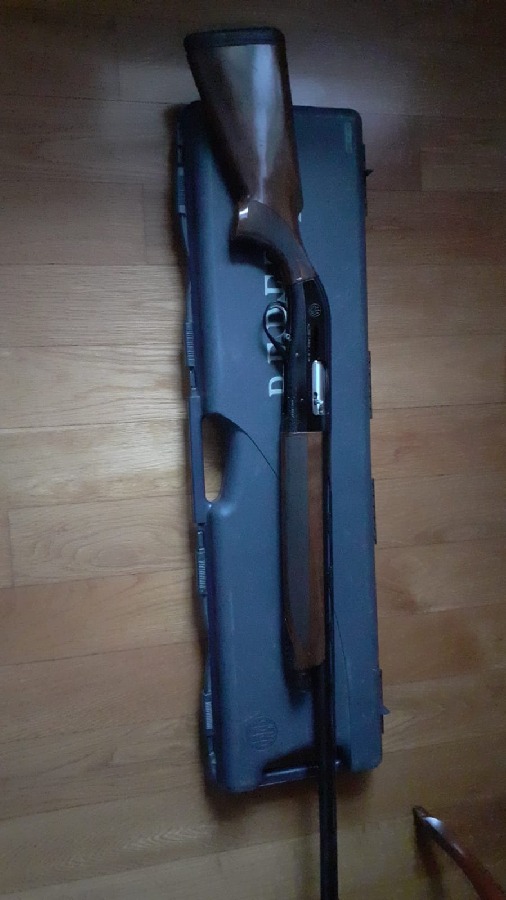 Beretta Urika 391