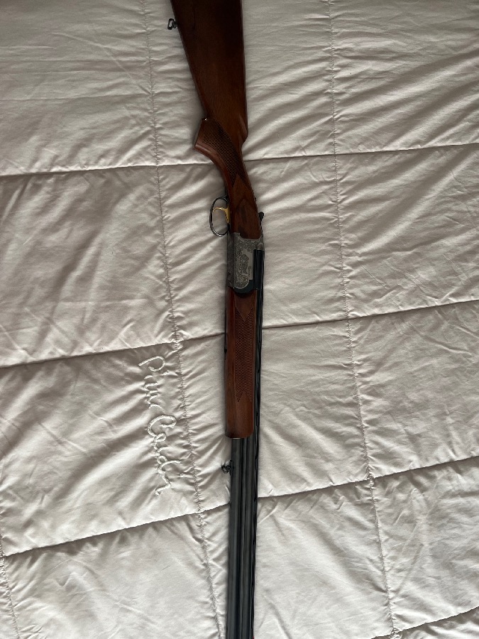 Escopeta Bettinsoli Cazador