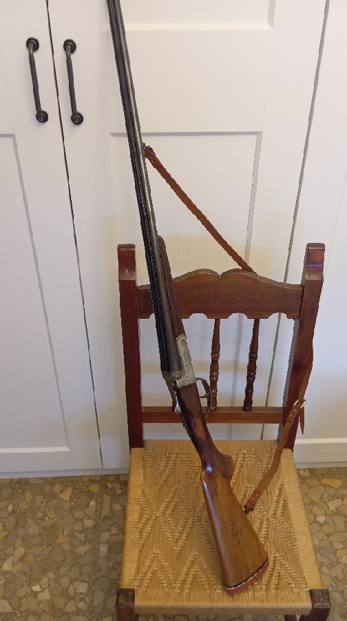 Gorosable calibre 41 Magnum