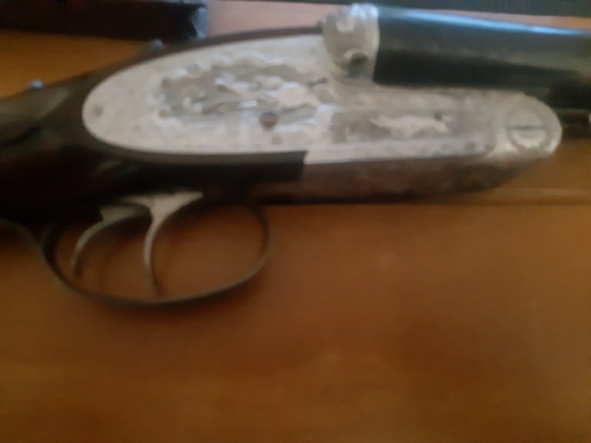 Escopeta Paralela de Alta Gama