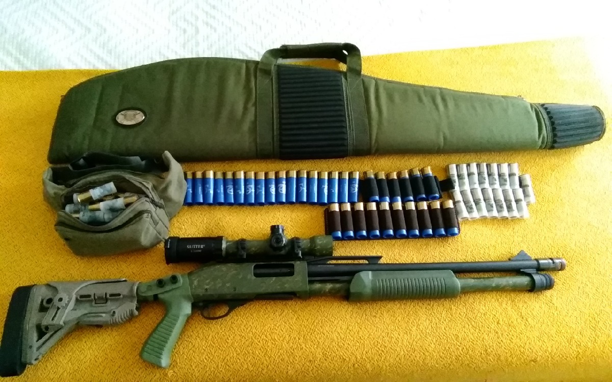 Stinger Tactical + Visor Sutter 1-12x30