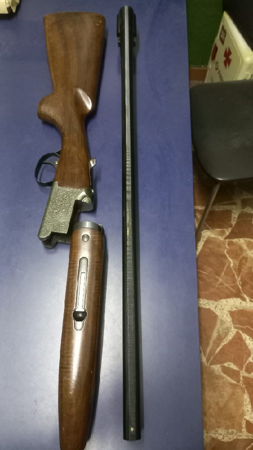 Franchi Alcione Barrage