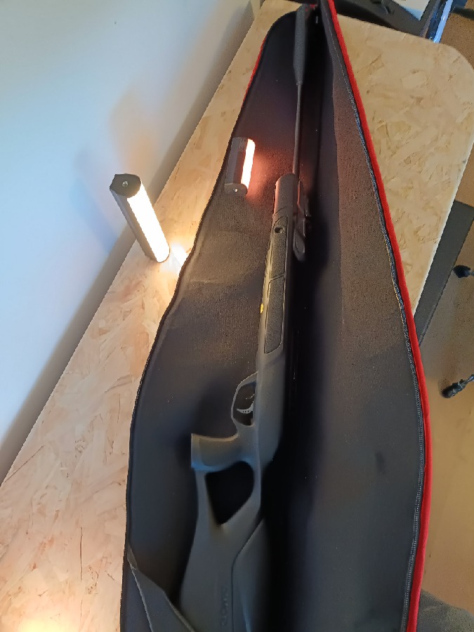 Escopeta Gamo Replay 10 Magnum IGT Gen 2 + Óptica BSA