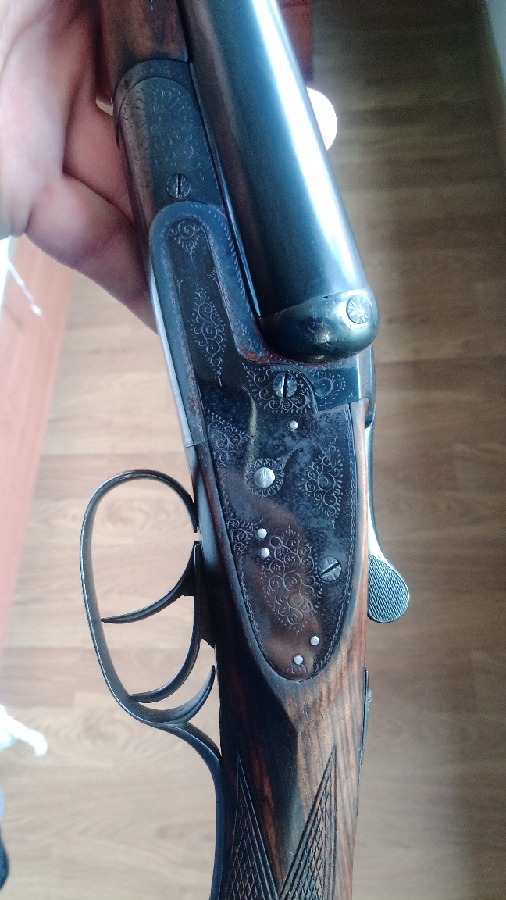 La paloma (JJ Sarasqueta)