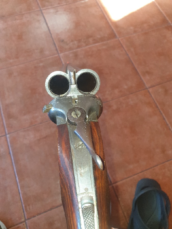 Escopeta Paralela Víctor Sarrasqueta