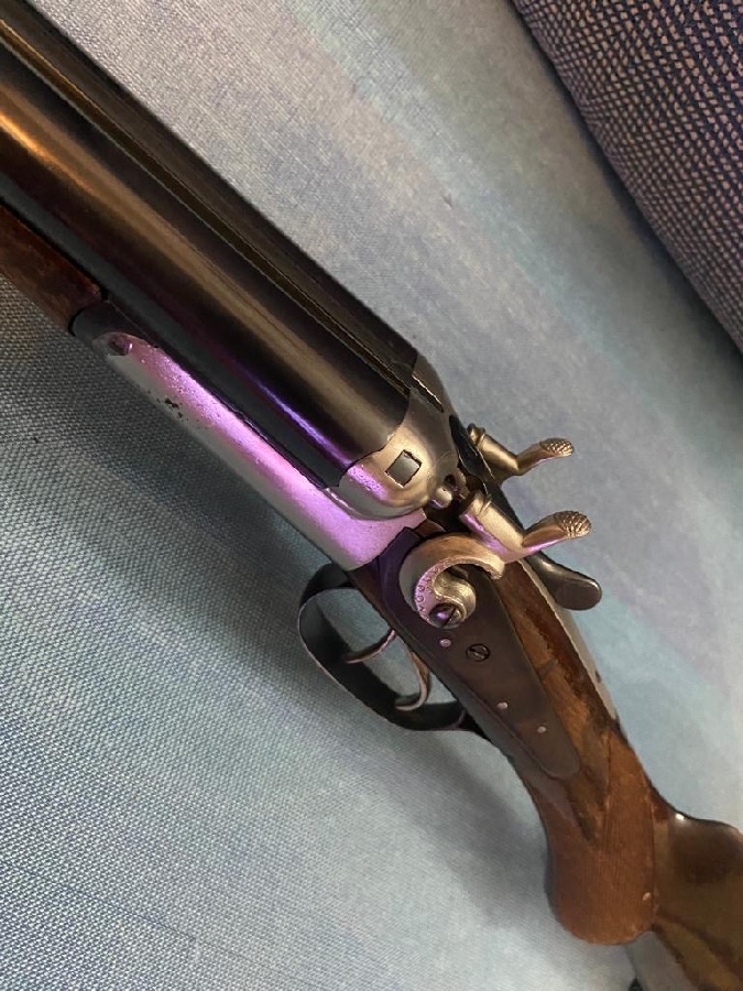 Escopeta S.E.A.M del 12 de perrillos