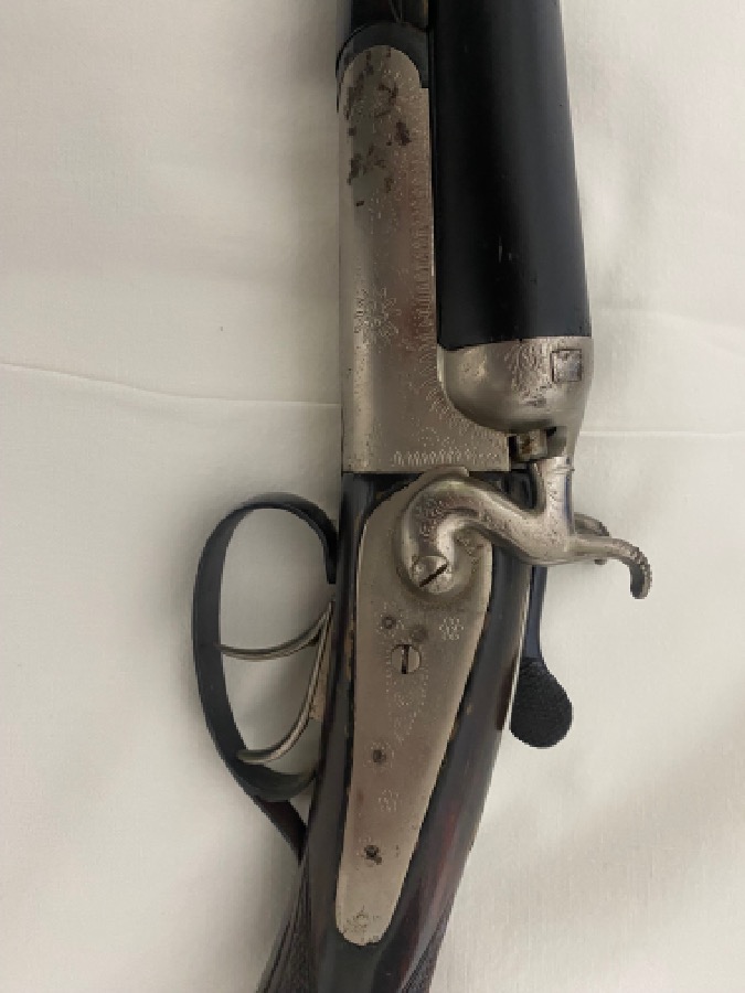 Paralela perrillos Z.H