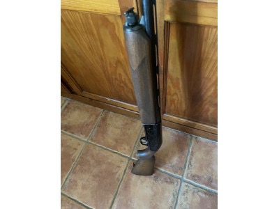 Escopeta Repetidora Beretta A302