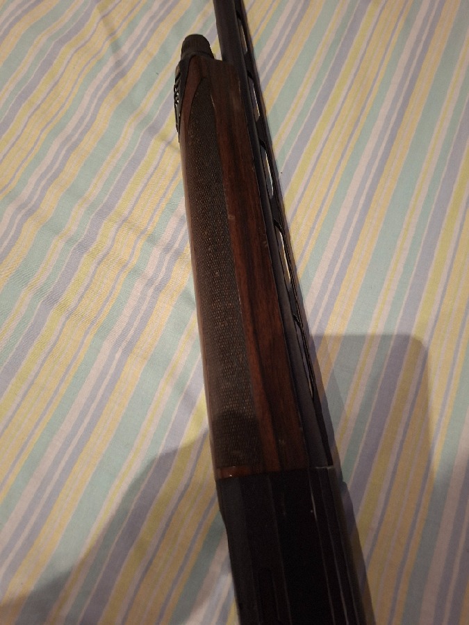 Escopeta Repetidora Beretta 391