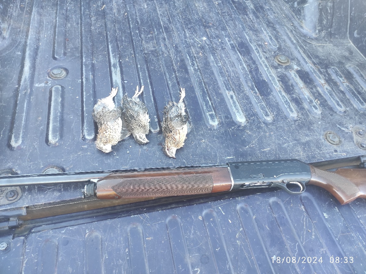 Escopeta Repetidora Beretta A301