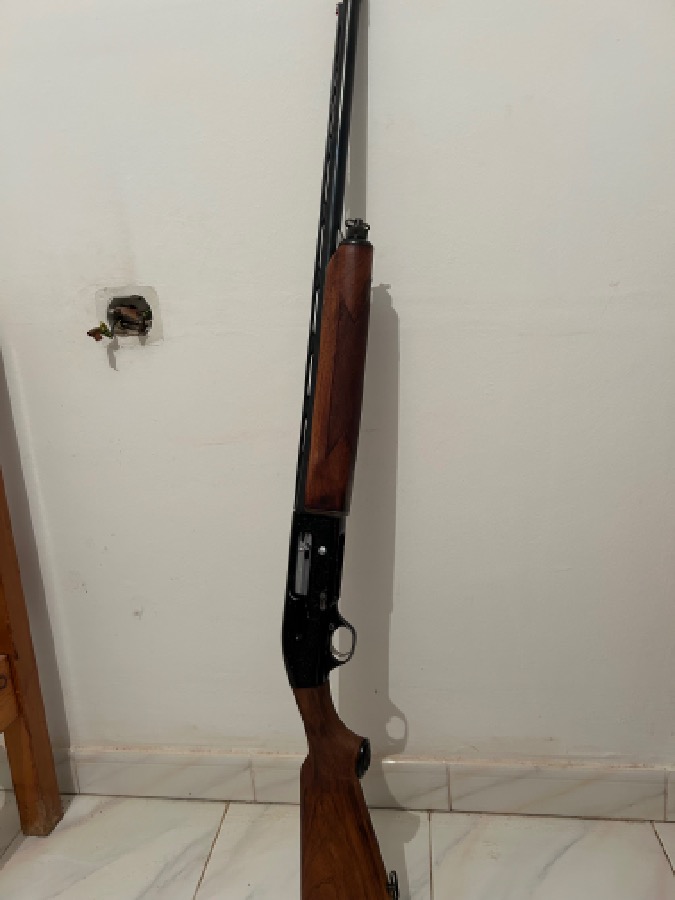 Beretta 302