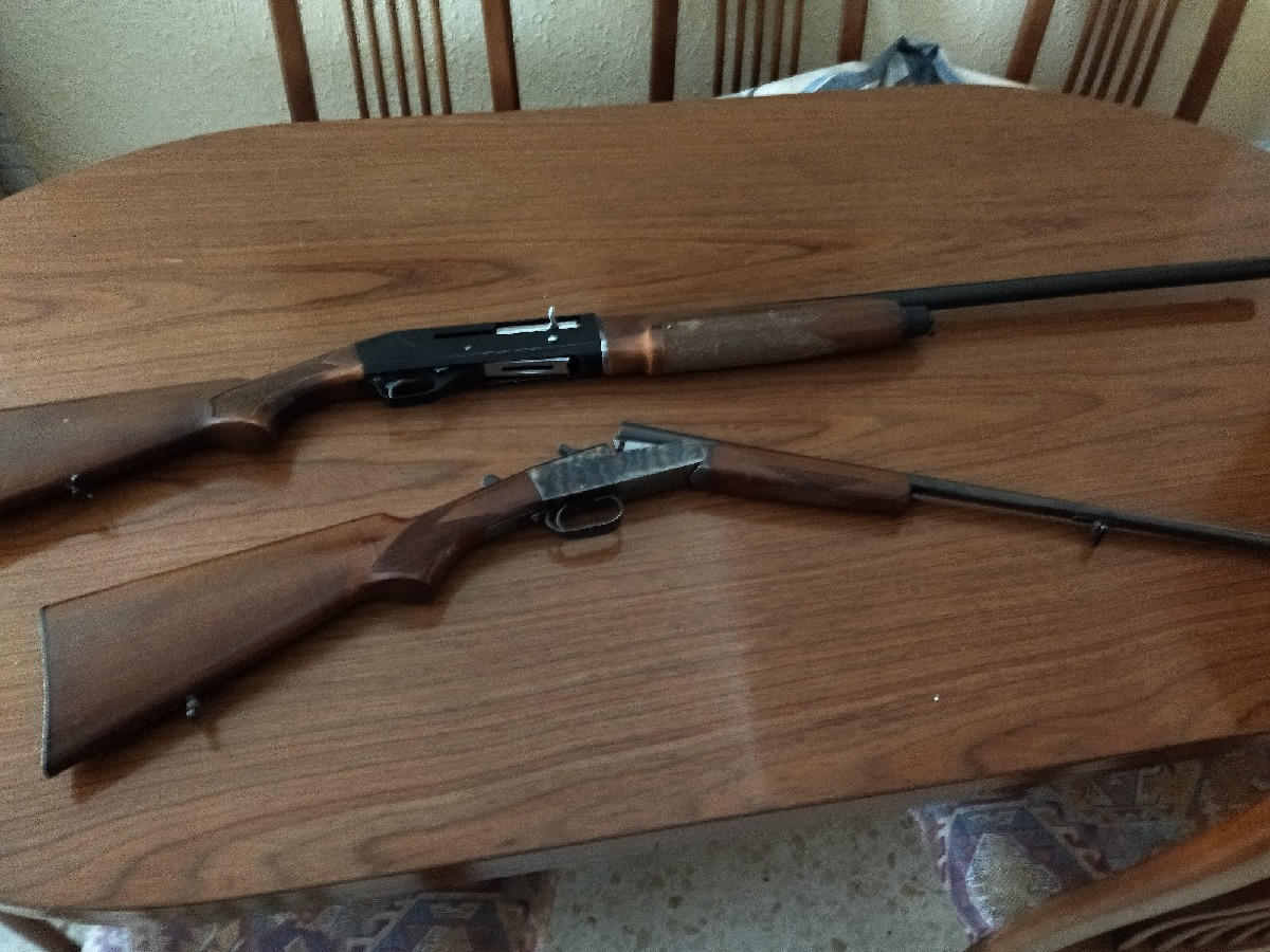 Stoeger 2000 del 12 y Zabala del 410