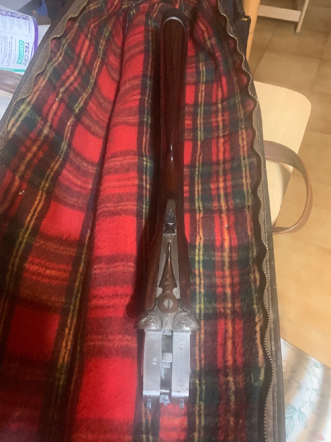 Escopeta Superpuesta Gamba