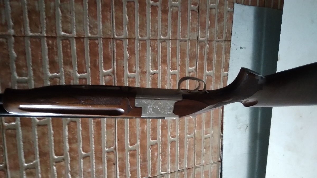 Superpuesta laurona caza