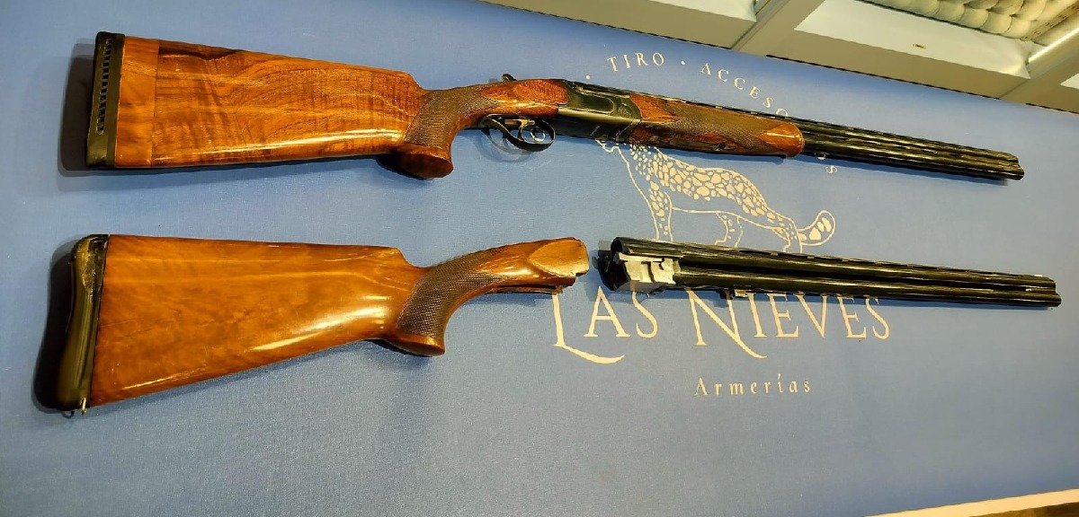 Renato Gamba Daytona Pigeon