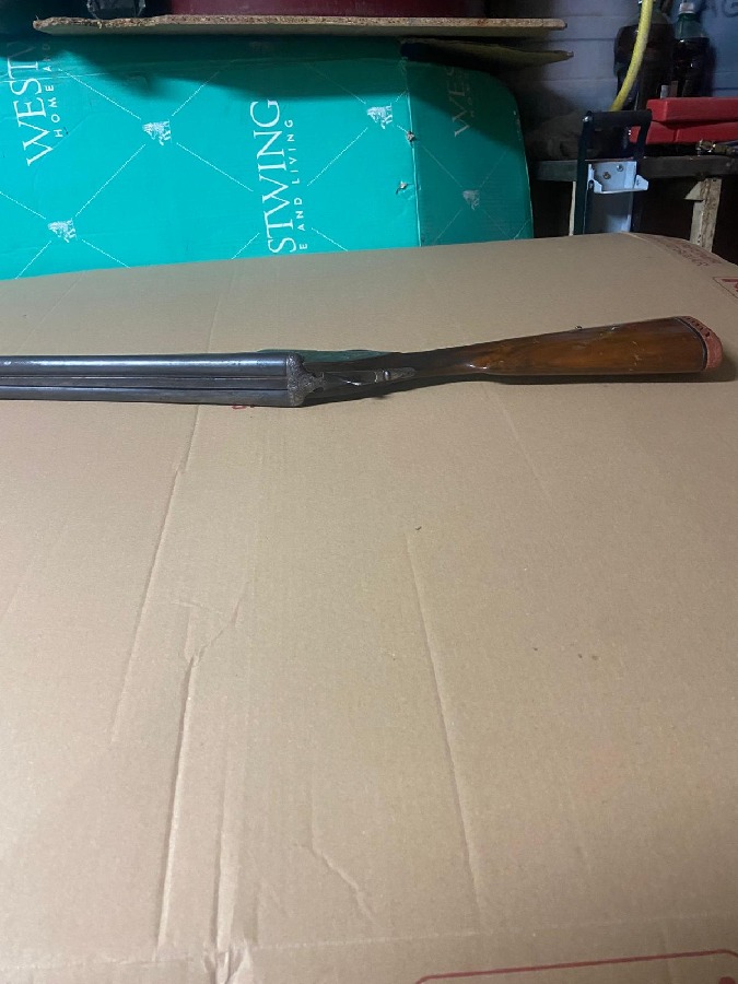 Escopeta Umbe Paralela