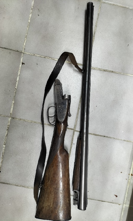 Escopetas FA y CK calibre 12