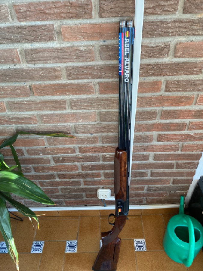 Fair racing sporting