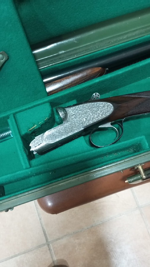Filli Gamba Modelo Royal