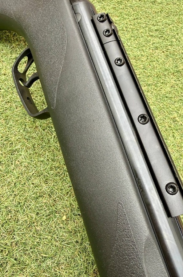 Gamo Big Cat Edición Especial 5.5 IGT
