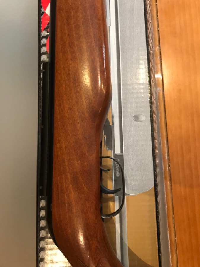 Carabina Gamo CFX Royal 4.5