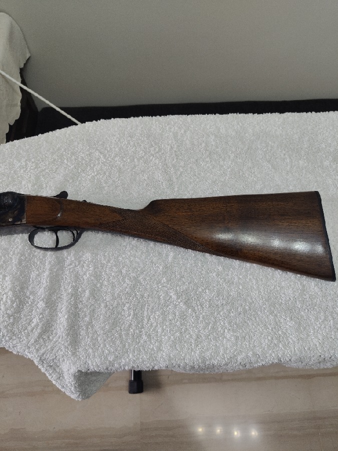 Ugartechea Impoluta Paralela