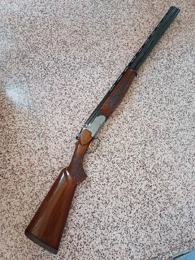 Lamber 2097 Sporting