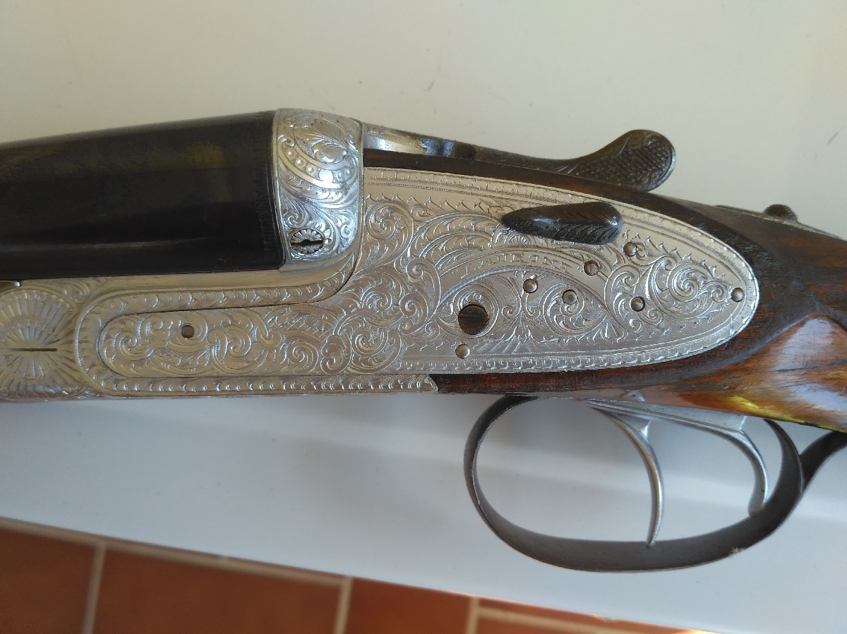 Laurona fina paralela