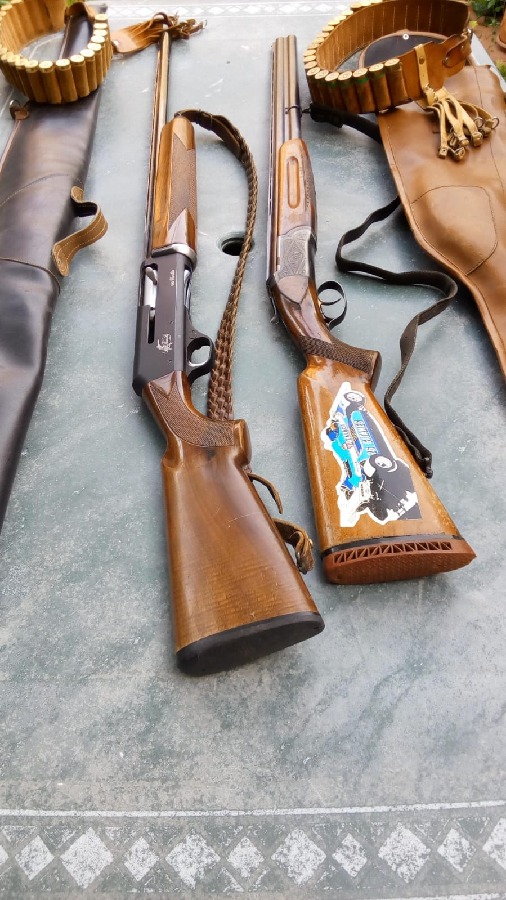 Lote de caza: 2 escopetas + cananas