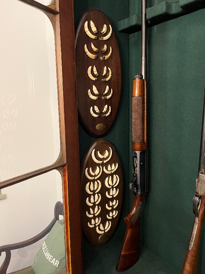 Magnífica Escopeta Repetidora Franchi