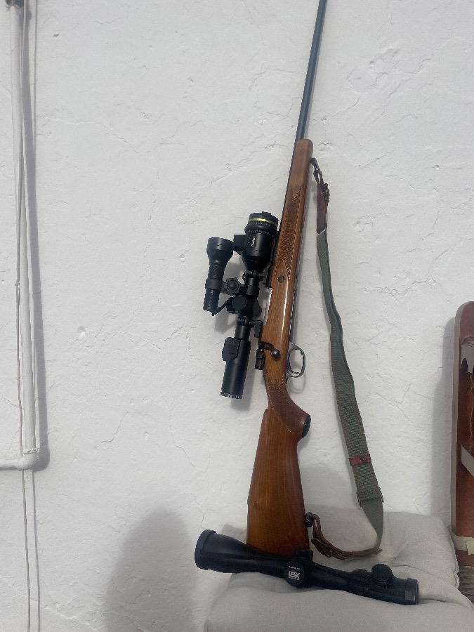 Mauser M98 en Madera 308