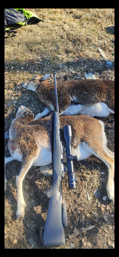 Mauser M12 Extreme y Visor Zeiss V8 4,8-35-60