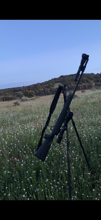 Mauser M18 Calibre 300 Win Magnum