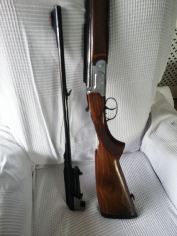 Monotiro Fair 500 con Dos Cañones