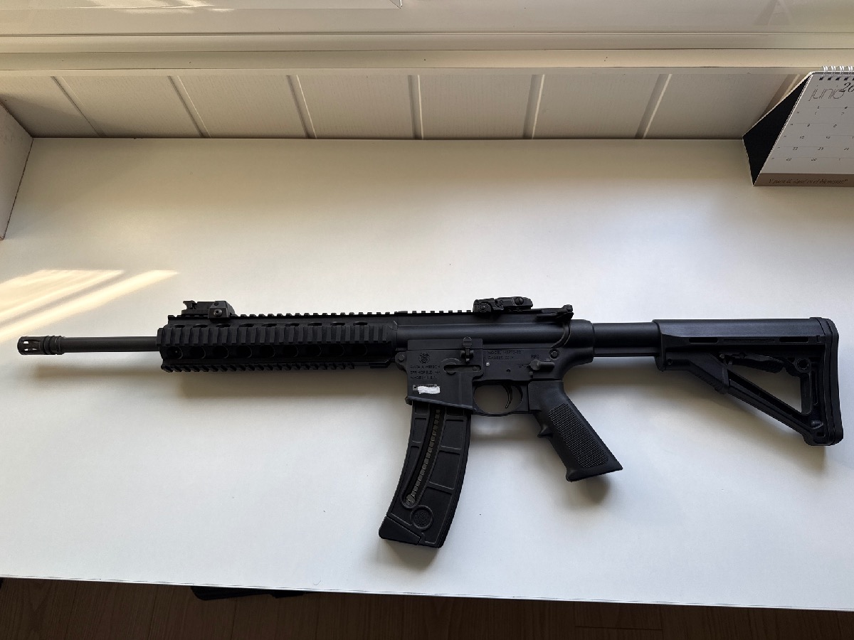 Smith & Wesson M&P15-22 .22LR