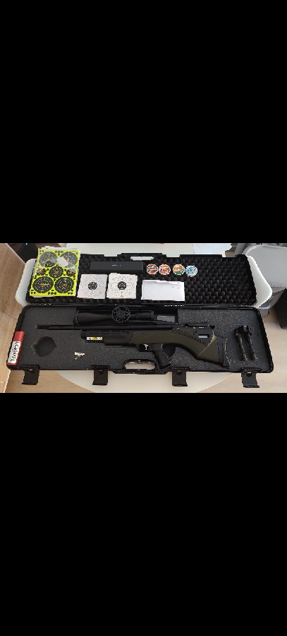 Pack Premium PCP: Daystate Pulsar + Visor Nikko Stirling Hornet