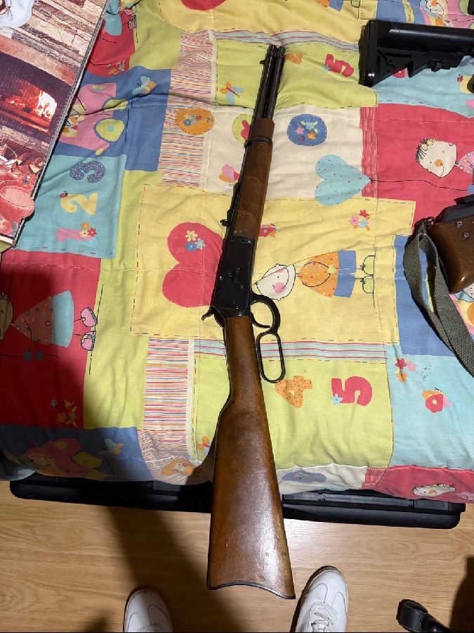 Palanquero Amadeo rossi