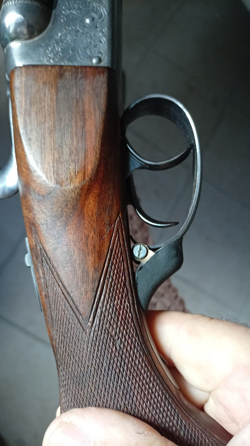 Paralela Zabala Hermanos, Dos Gatillos, Cola de Castor